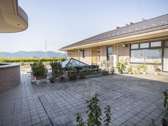 植物が並ぶ広場