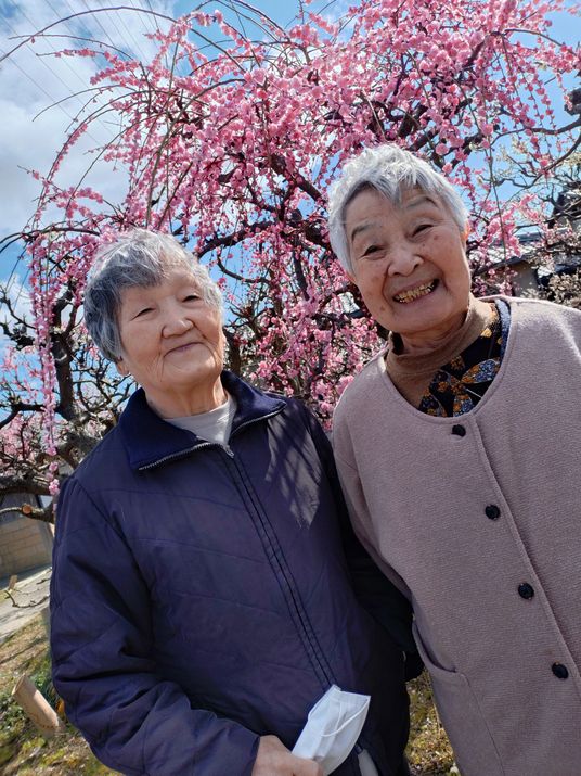 笑顔の高齢者と花見の庭
