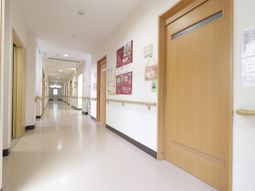 明るい廊下の様子