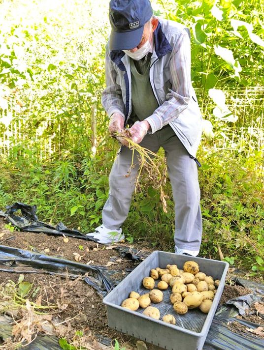 農作業を手伝う施設の利用者