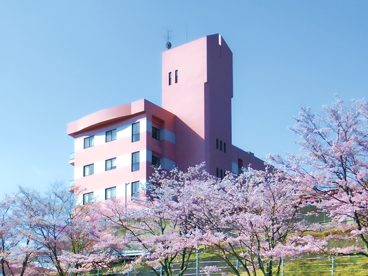 桜に囲まれた外観  