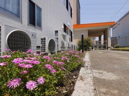 建物と花壇のエントランス