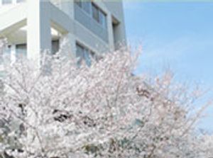 桜と建物の外観