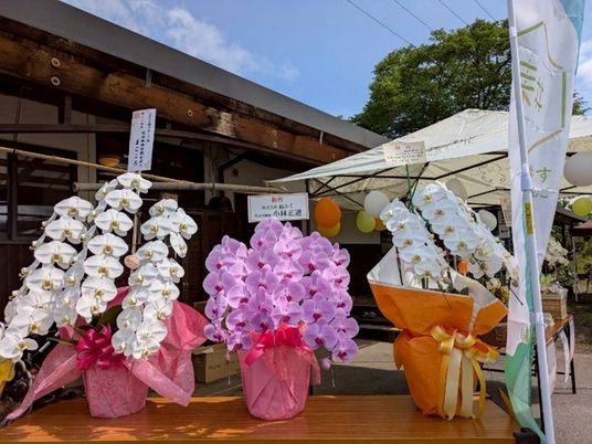 花の飾りが並ぶ庭  