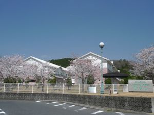 桜に囲まれた外観  
