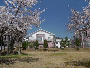 桜に囲まれた外観  