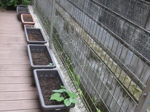 プランターが並ぶテラス  