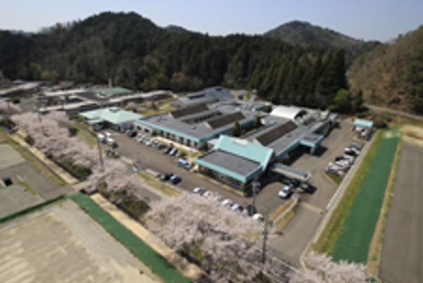 桜に囲まれた建物の外観