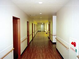 清潔な施設の廊下