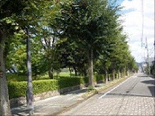 緑豊かな外観