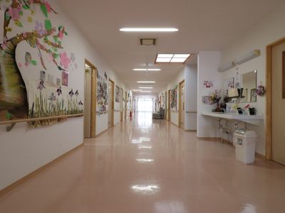 廊下の壁面装飾と設備