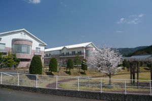 桜咲く庭