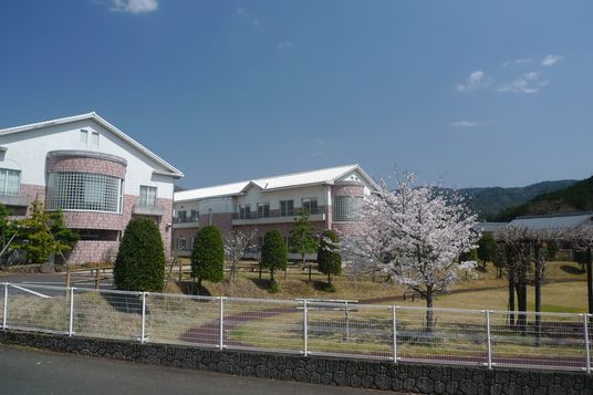 桜咲く庭