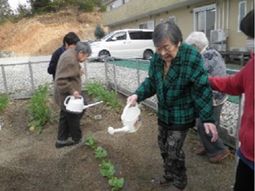 利用者の園芸活動