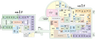 西館1階の間取り図
