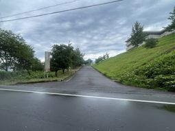 緑豊かな道の外観