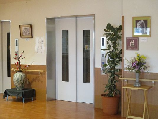 観葉植物の置かれた廊下