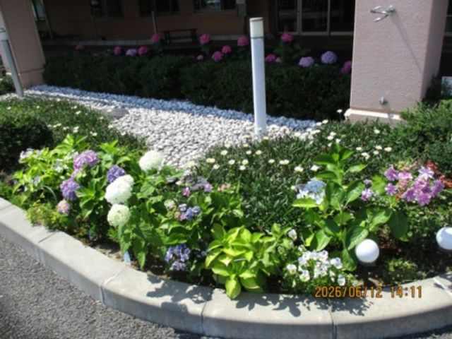 花壇のある外観 外観   建物前に色とりどりの花が植えられた花壇があります。落ち着いた雰囲気で、来訪時に季節感を感じやすい外まわりです。