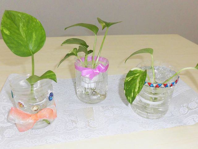 癒しの植物 ラウンジ ラウンジには、かわいらしい装飾を施した鉢植えが並んでおり、落ち着いた雰囲気を演出しています。
