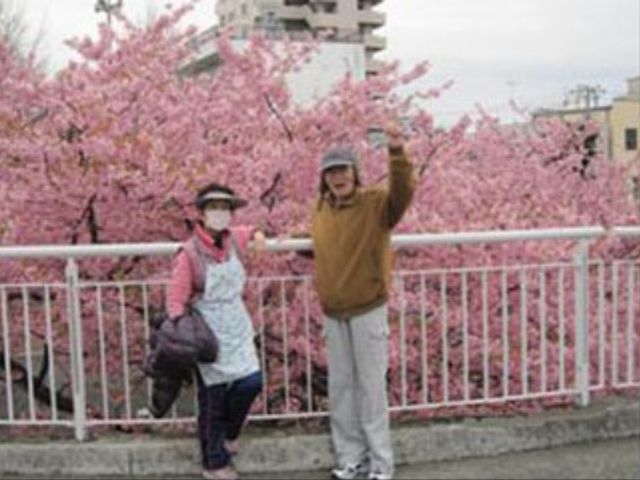 桜とともに笑顔のふたり サポート 桜満開の広々とした外の空間で、ハッピーな瞬間を共有するスタッフと利用者様。ここでは四季折々の自然を感じながら、穏やかな時間をすごせます。