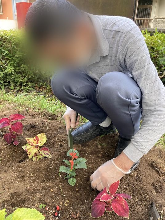 植物を手入れ中の庭  