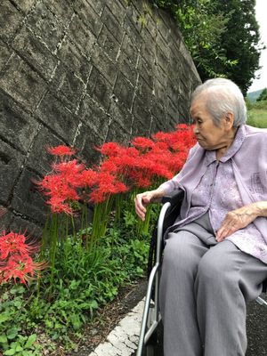 庭園で憩う老人