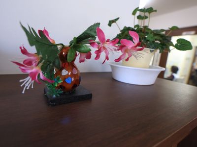 花と植物が置かれた棚