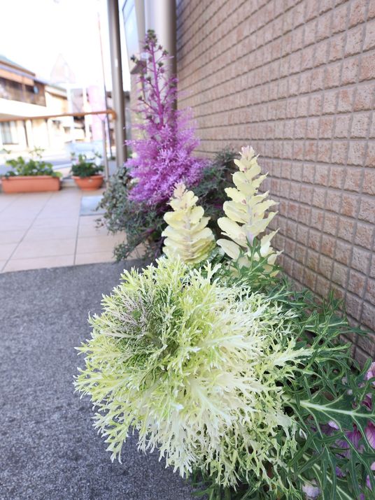 緑豊かなエントランス
