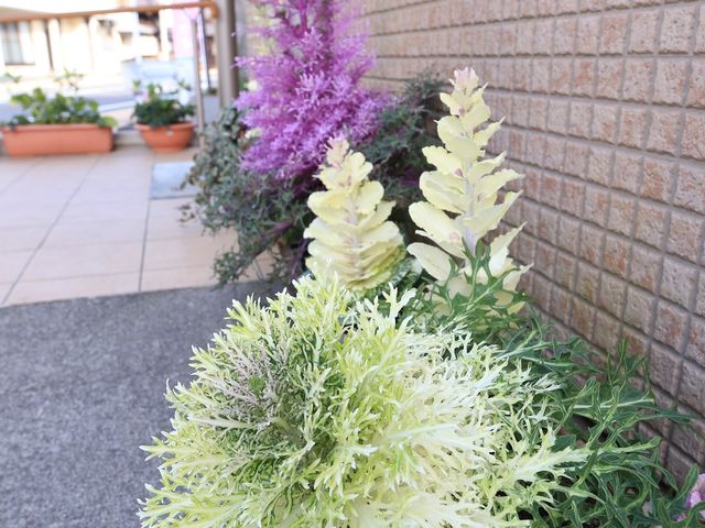 緑豊かなエントランス 施設設備 配色豊かな植栽が目を引く入り口は、訪れる方々に安らぎを与えるデザインです。快適な出迎えが期待できます。