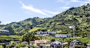 自然に囲まれた風景