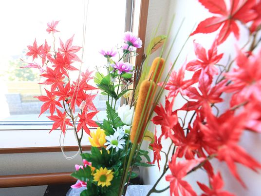 窓辺のカラフルな花装飾