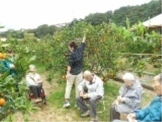 果樹園でのレクリエーション