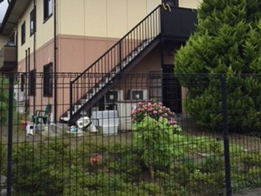 建物脇の小さな庭  