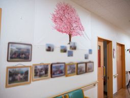 壁に飾られた桜の絵