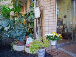 エントランスの緑と花