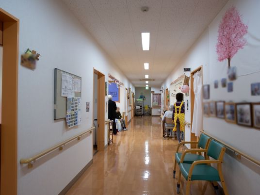 廊下に彩りを添える掲示物