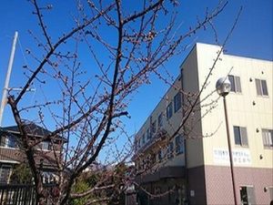 緑豊かな環境の居室外観