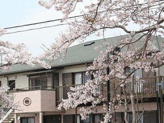 桜前の建物外観