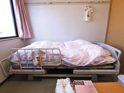 安全柵付き居室ベッド