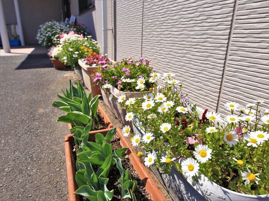 花壇が並ぶ廊下