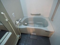 安全な浴室の躍動感