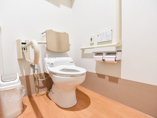 温水洗浄便座が１台設置されたトイレ。壁に手すりがあり、その近くに操作パネルとナースコールが取り付けられている。