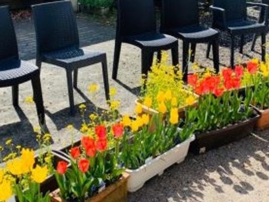 色とりどりの花と椅子の配置