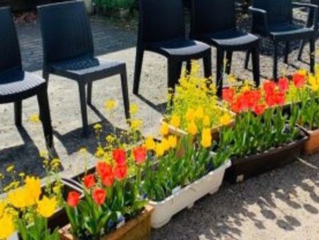 色とりどりの花と椅子の配置