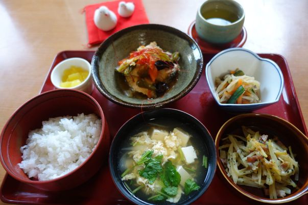 栄養豊富な食事トレー