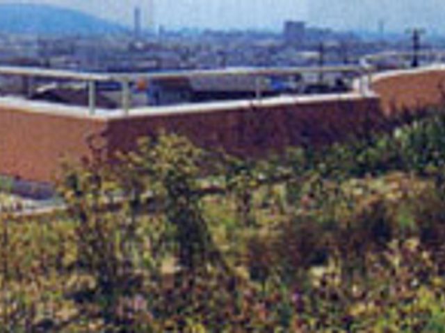 自然豊かなテラス テラス 緑に囲まれた場所で、穏やかな時間を過ごせます。まわりの景色も存分に楽しめます。