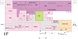 詳細なフロアマップ