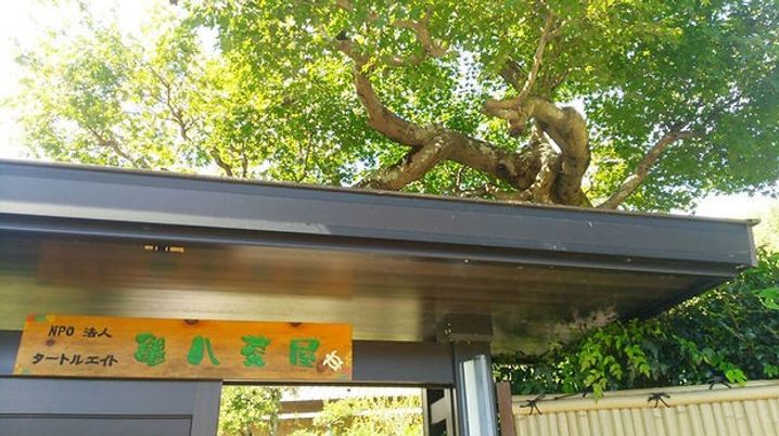 看板と緑が映える入口