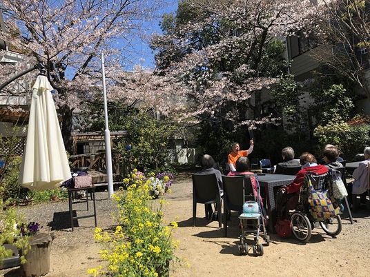 春の桜が咲く中庭