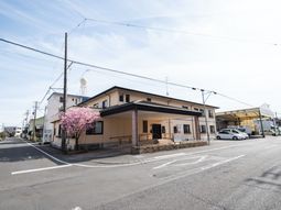 春を感じる桜と建物